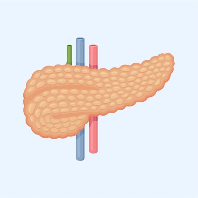 Pancreas
